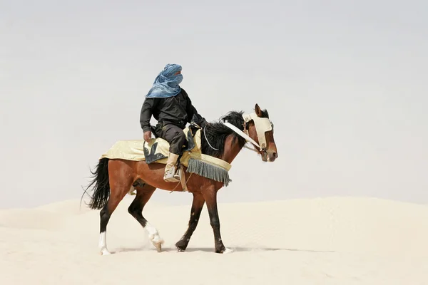 Prince of a desert — Stock Photo, Image