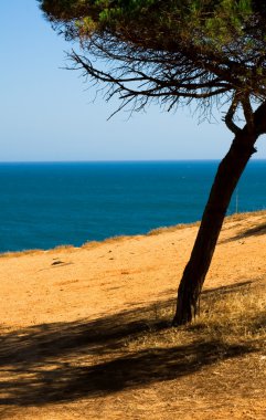 güzel manzara ile deniz, algarve Portekiz