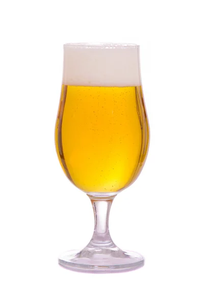 Glas bier op een witte achtergrond — Stockfoto