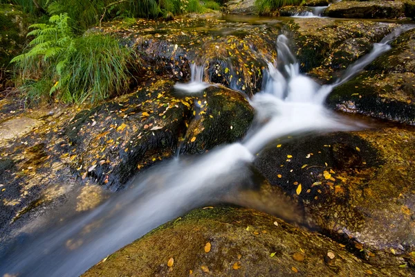 Piccola cascata fluviale in autunno nel parco nazionale portoghese — Foto Stock