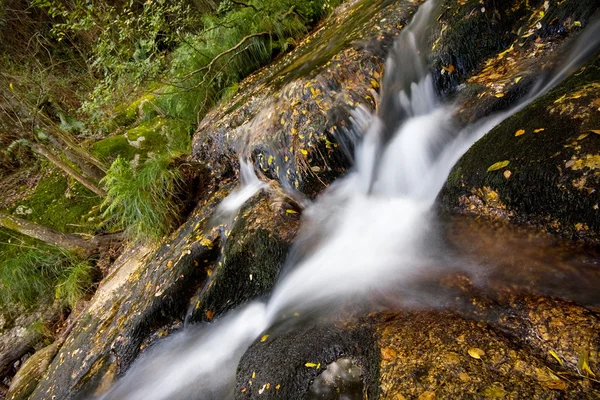 Kleiner Flusswasserfall im Herbst im portugiesischen Nationalpark — Stockfoto