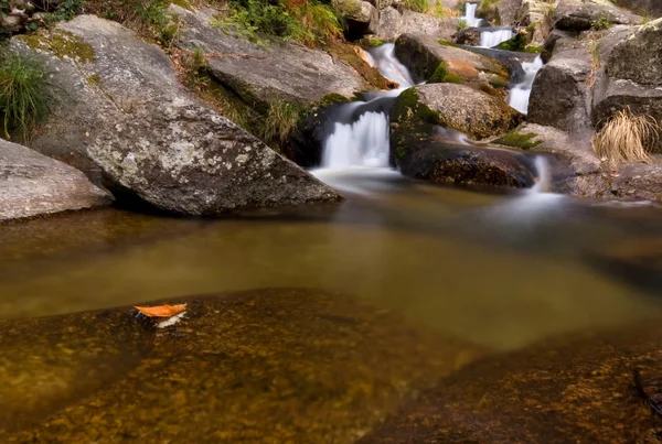 Wunderschöner Herbstfluss im portugiesischen Nationalpark — Stockfoto