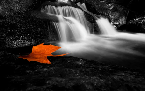 Foglia d'autunno in cascata nel parco nazionale portoghese — Foto Stock