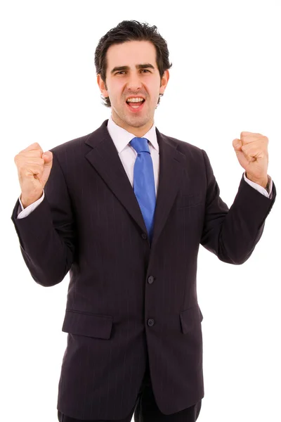 Businessman expressing success and victory Stock Picture
