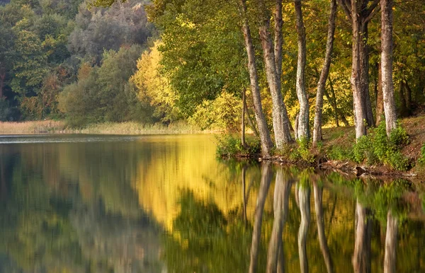 stock image Portuguese National Park