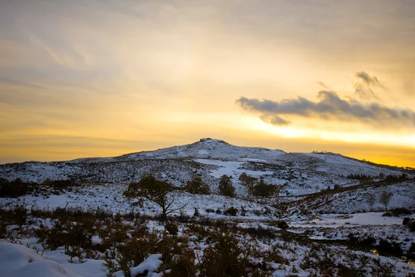 stock image Winter landscape