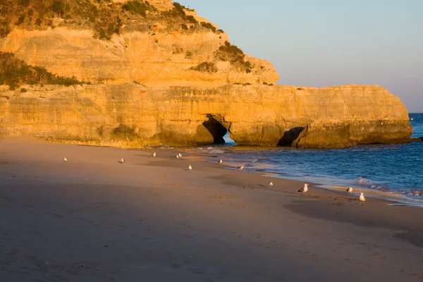 Όμορφη Παραλία Του Αλγκάρβε Στο Ηλιοβασίλεμα Νότο Της Πορτογαλίας — Φωτογραφία Αρχείου