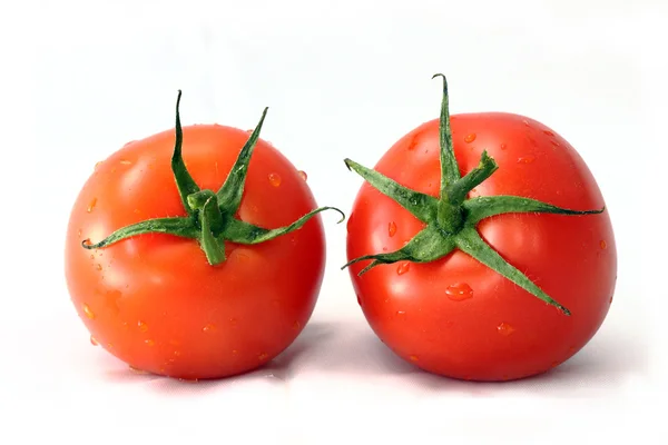 Tomaten isoliert auf weißem Hintergrund — Stockfoto