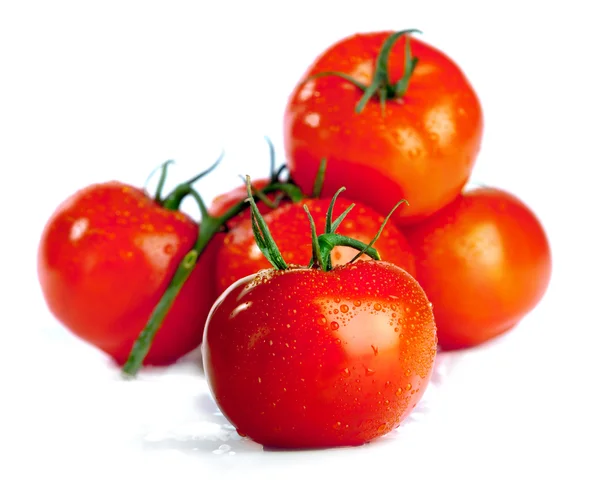 stock image Tomatoes