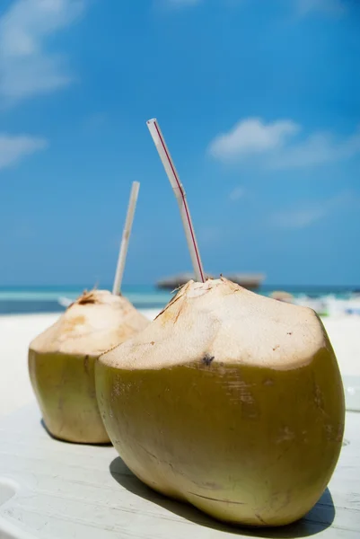 stock image Coconut Water Drink