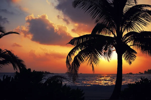 Maledivské západ slunce — Stock fotografie