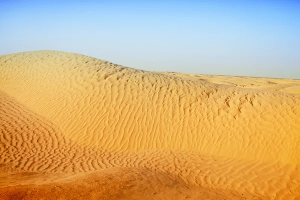 Пустеля Сахара Ліцензійні Стокові Зображення