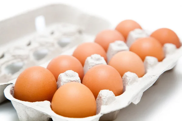 Dziesięć jaj w kartonie na na białym tle Zdjęcie Stockowe