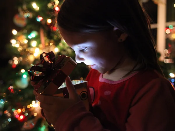 Kleines Mädchen bekommt ein magisches Weihnachtsgeschenk — Stockfoto
