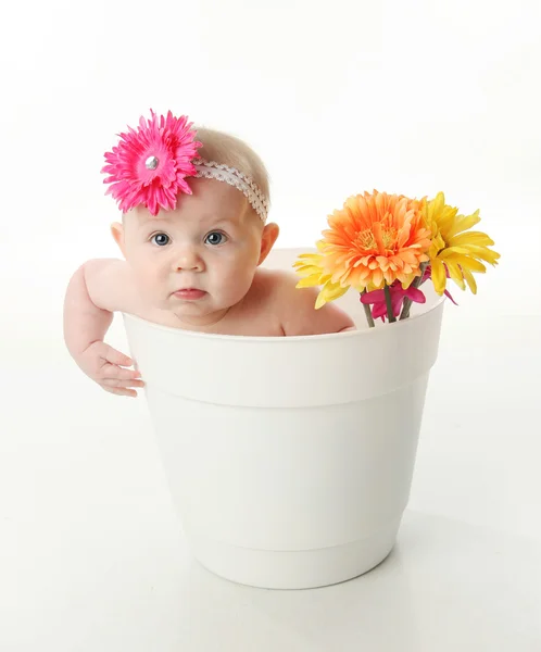 Menina bebê em um vaso de flores — Fotografia de Stock