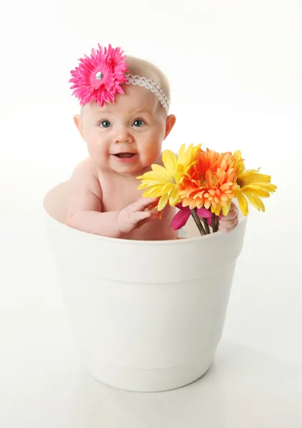 Baby flicka i en blomkruka Stockfoto