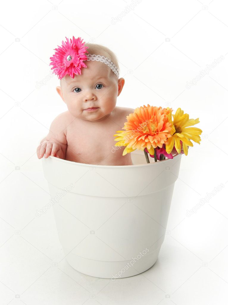 baby in a flower