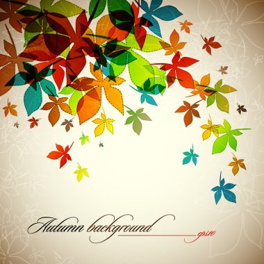Autumn Background | Falling Leafs