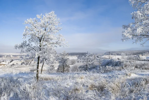 Ukrainska vinter Stockfoto