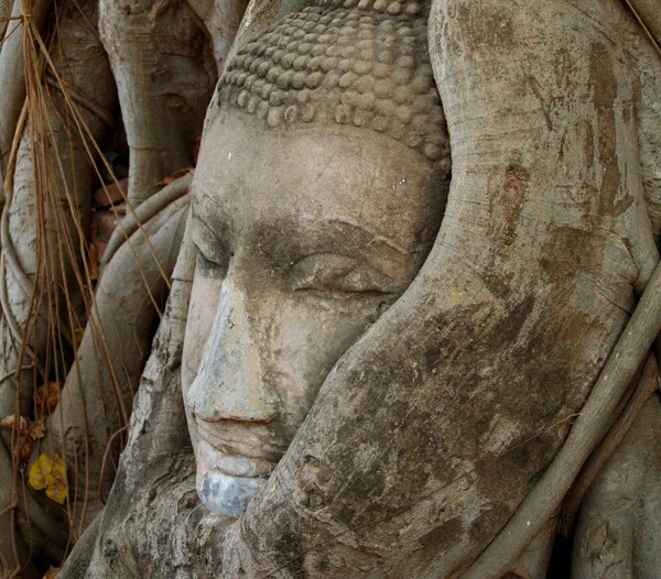 Patung Buddha — Stok Foto