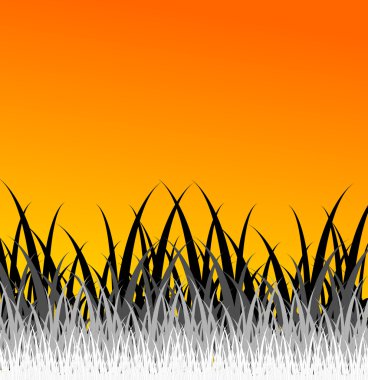 Design of grass