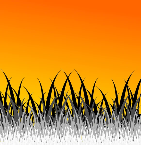 Дизайн травы — стоковое фото