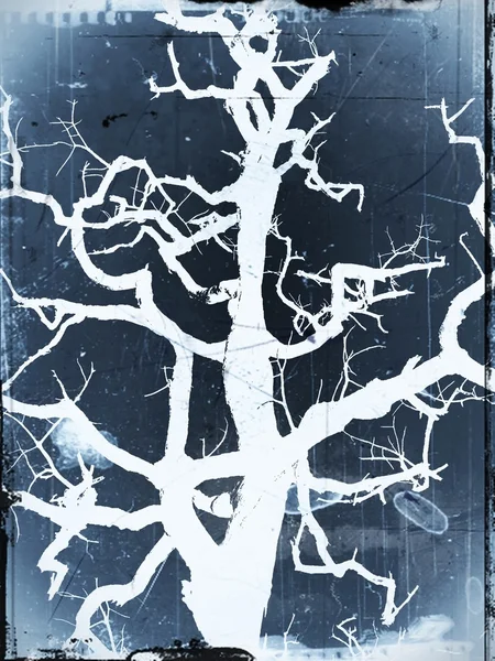 木のアート — ストック写真