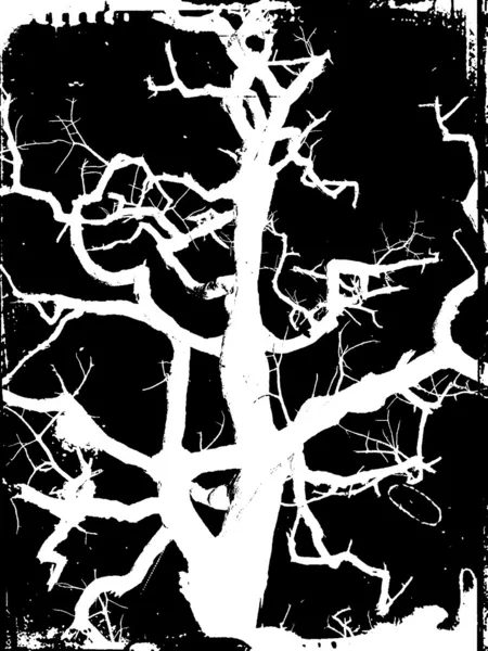 剪影树 — 图库照片