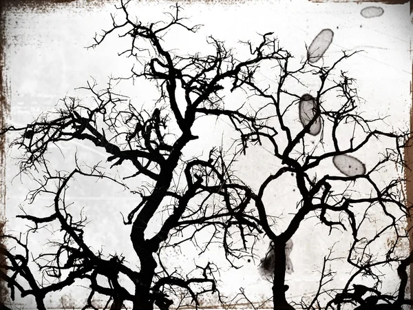 Arte de árvore — Fotografia de Stock