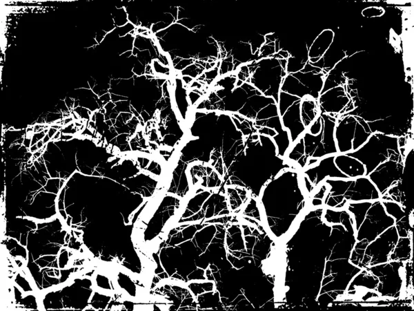 Arte del árbol —  Fotos de Stock