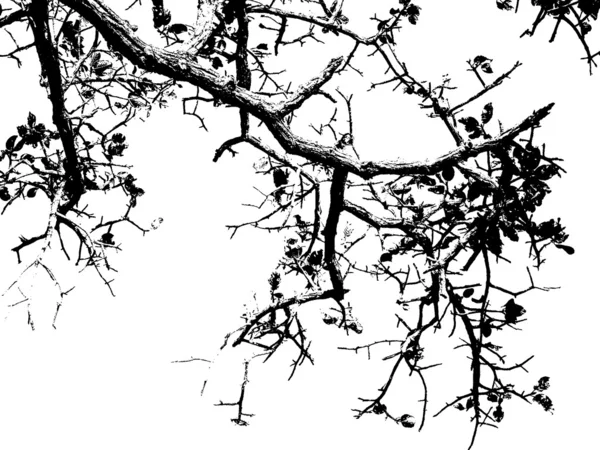 Дерево мистецтва — стокове фото
