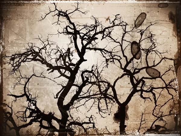 Tree art — Stock Photo, Image