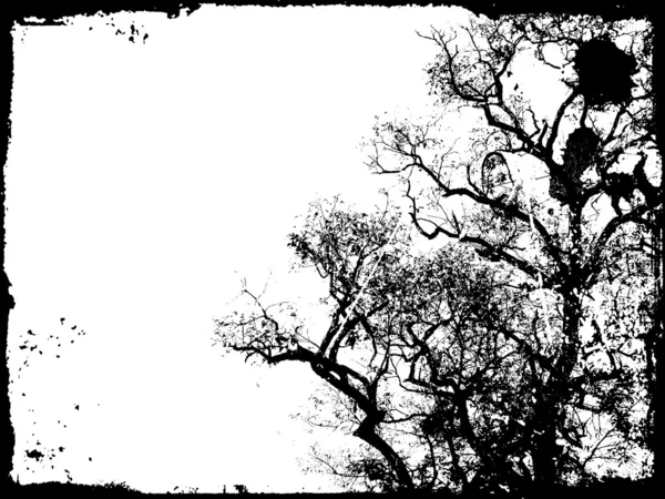 Arte degli alberi — Foto Stock