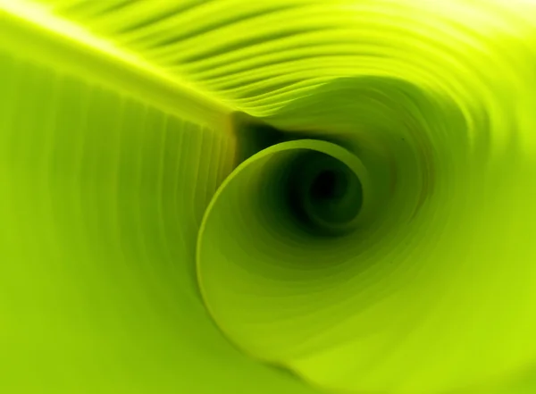 stock image Leaf and water drop