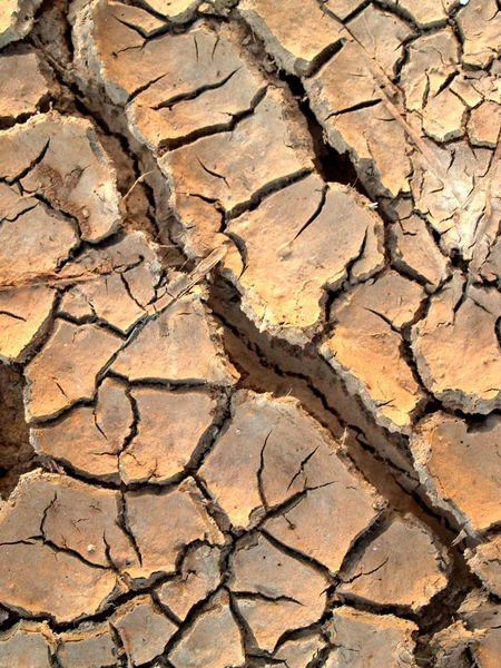 stock image Dry soil / crack earth