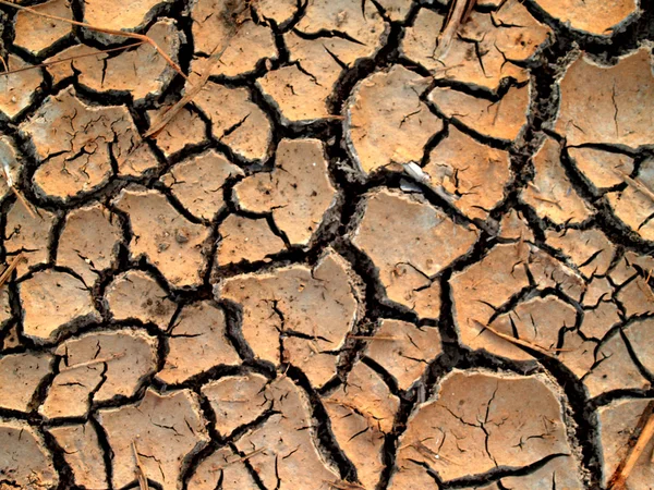 stock image Dry soil / crack earth