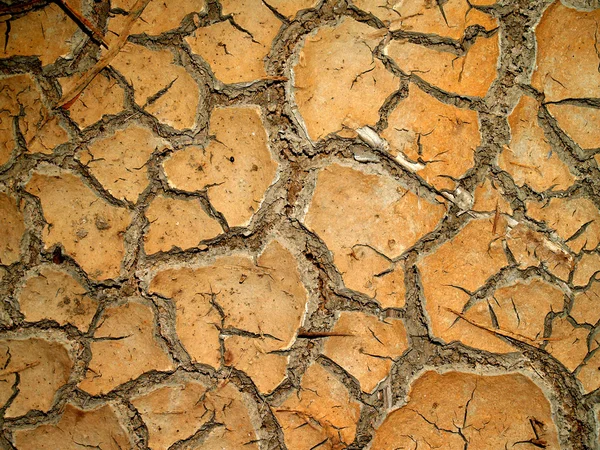 Tierra seca / tierra agrietada — Foto de Stock