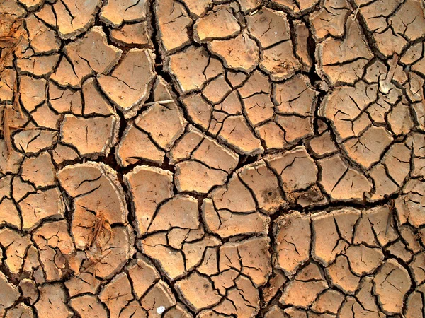 Stock image Dry soil / crack earth