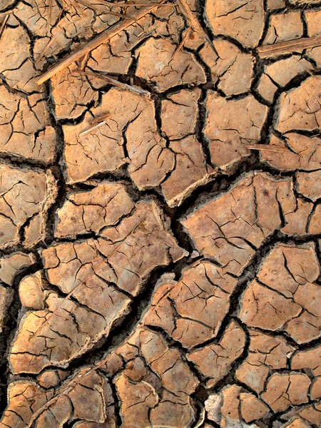 stock image Dry soil / crack earth