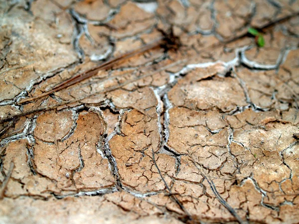 Сухий грунт / тріщина землі — стокове фото