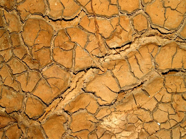 Tierra seca / tierra agrietada —  Fotos de Stock