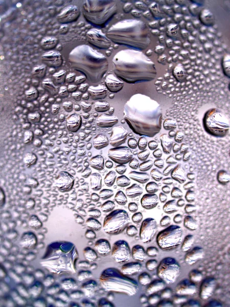 Gota de agua en las hojas — Foto de Stock