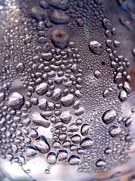 Gota de agua en las hojas — Foto de Stock