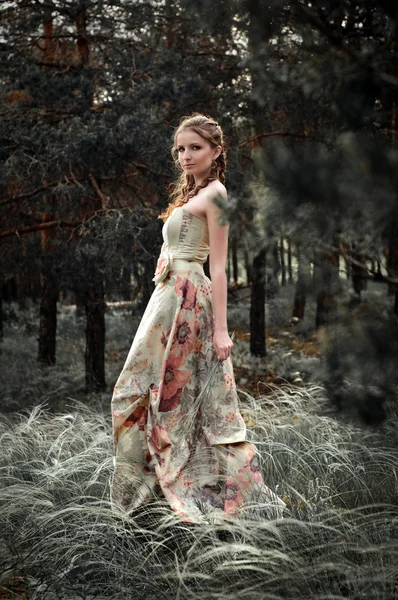 妖精の森林での女性の肖像画 — ストック写真