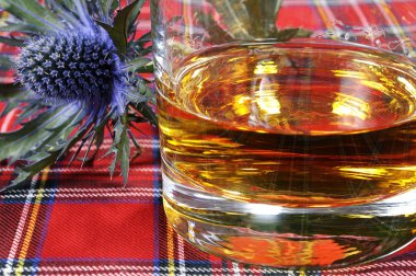 Scotch Whiskey and Thistle clipart
