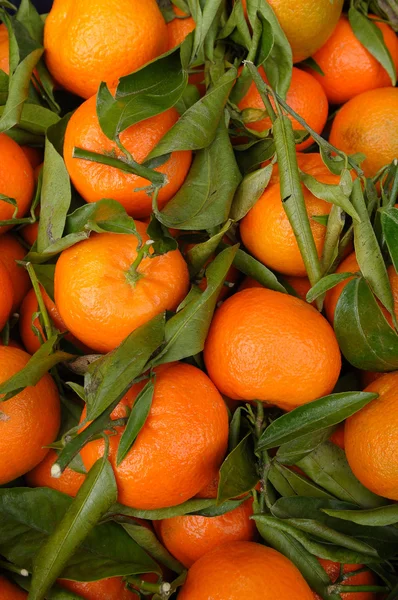 stock image Clementines