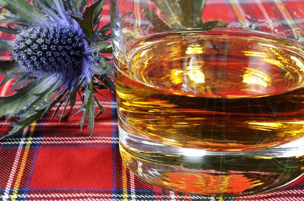 苏格兰威士忌和蓟 — 图库照片