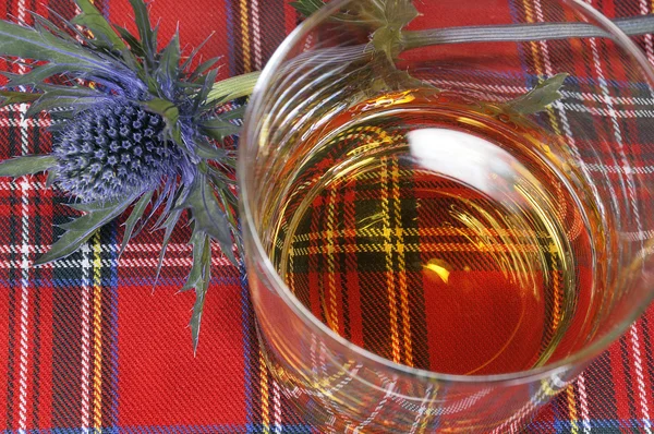 Whiskey and Thistle on Tartan — Stock Photo, Image