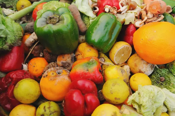 Een Vuilnisbak Vol Rotte Groenten Fruit Buiten Een Supermarkt — Stockfoto