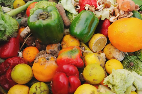 A dumpster full of rotten fruit and vegetables outside a supermarket.